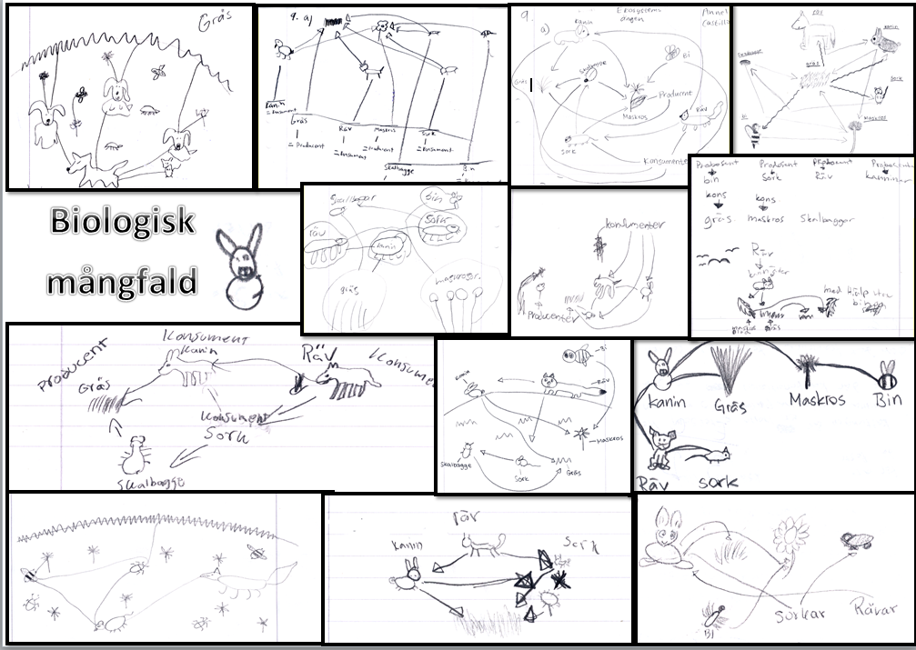 biologisk mångfald.png